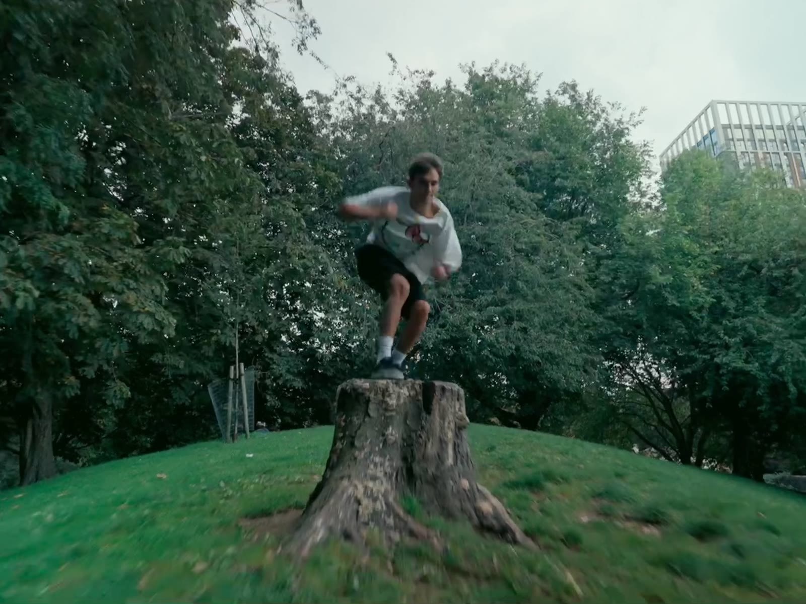 Eden Flips
