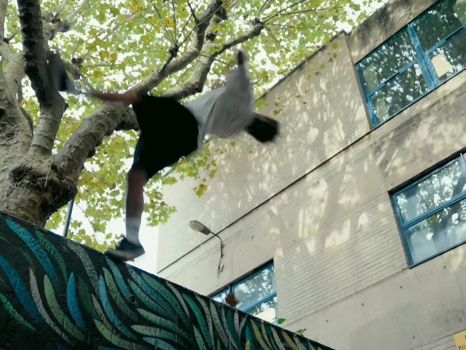 Eden Flips