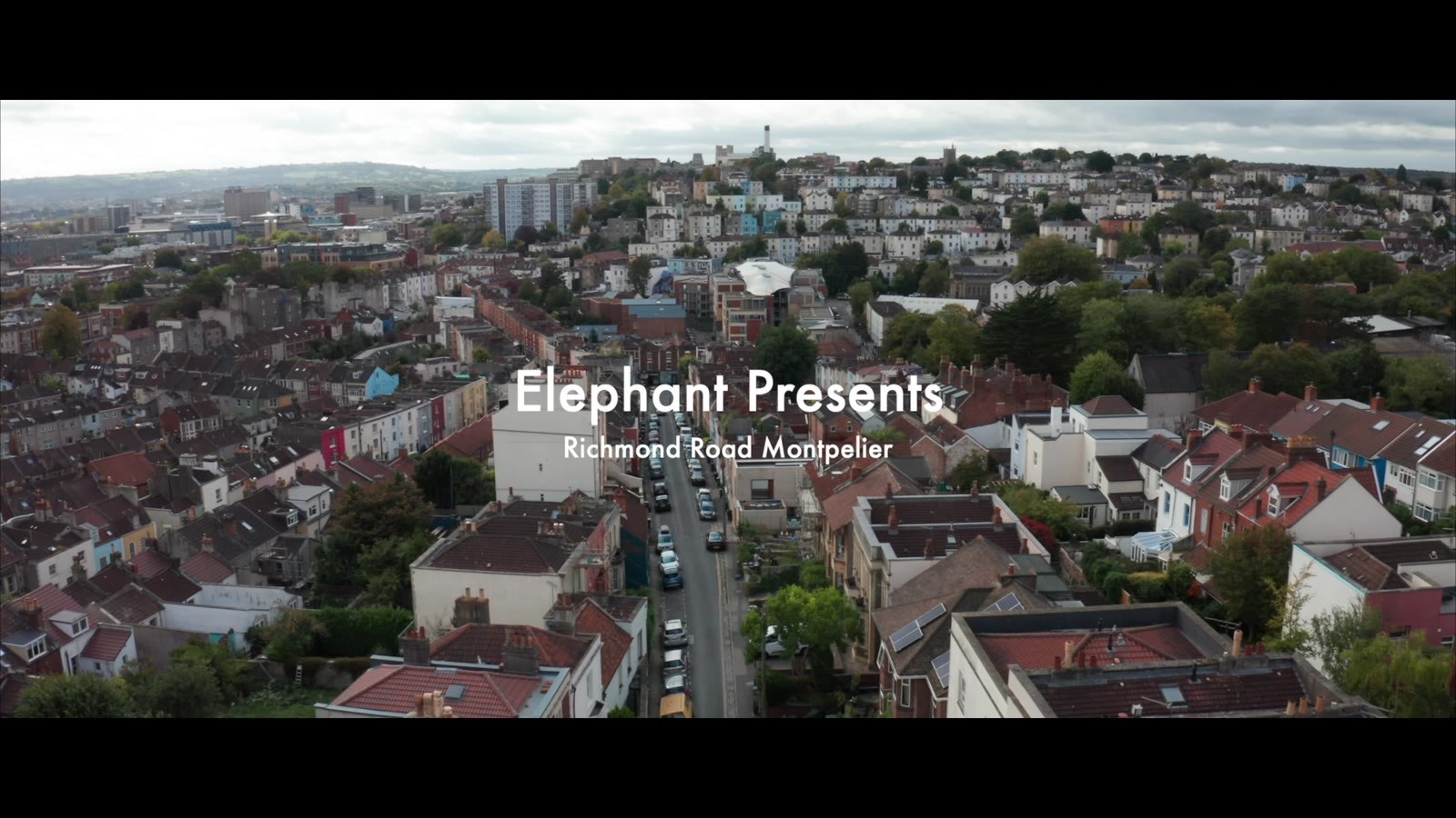 Elephant
