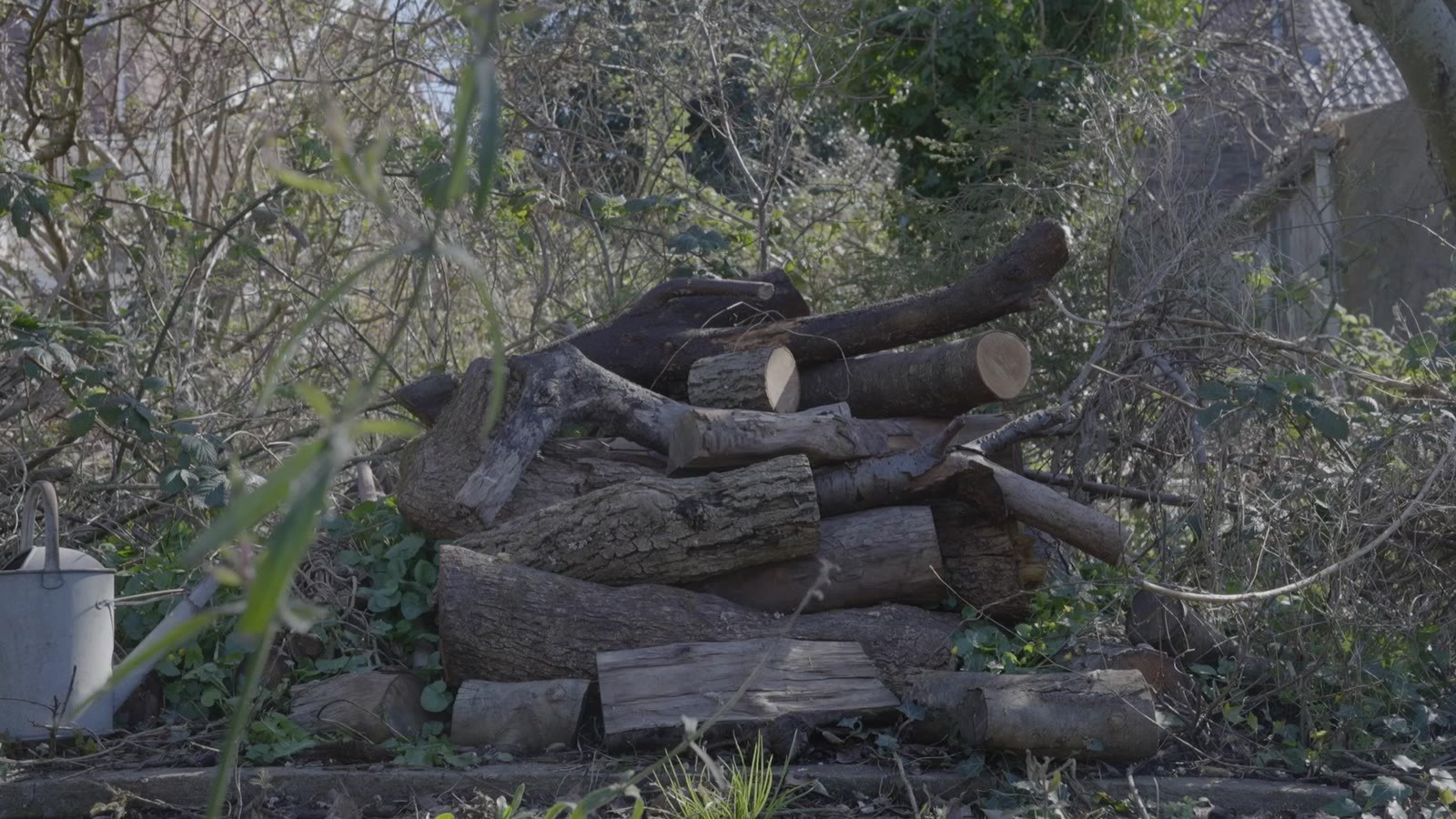 Wooden Creation