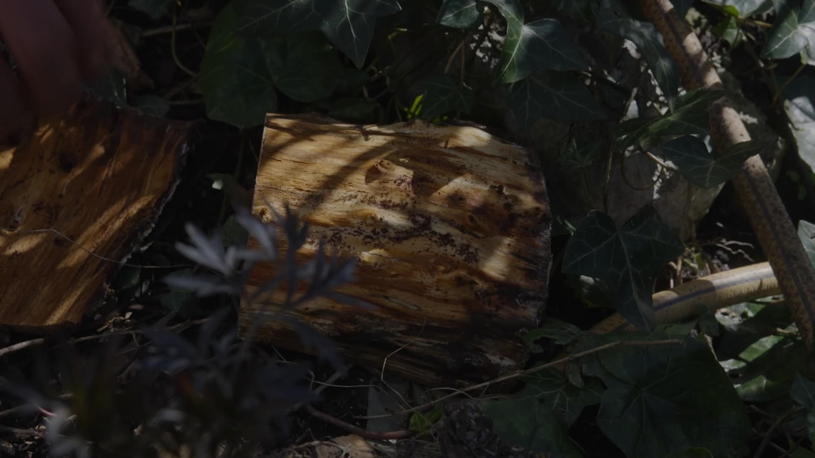 Wooden Creation