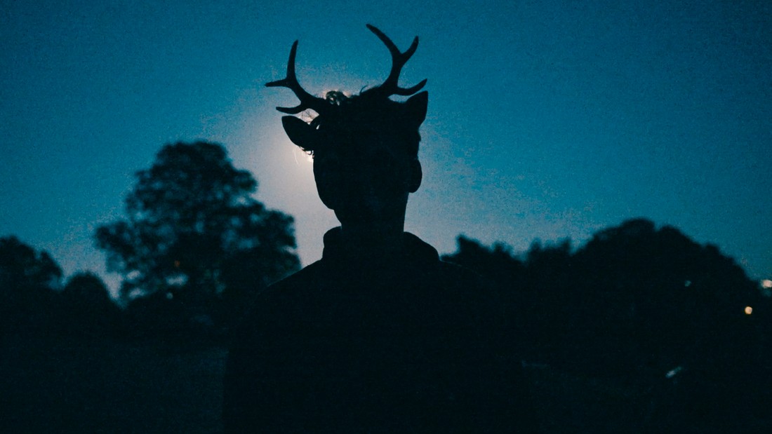 Wild Heads